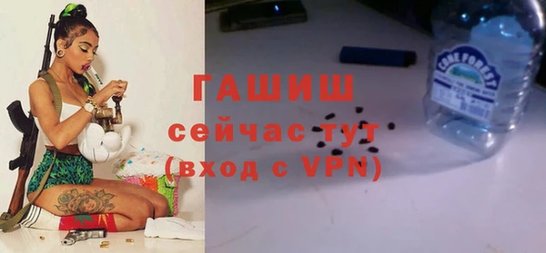спиды Магас