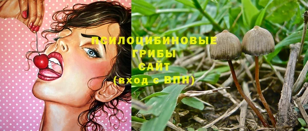 ешки Лиски