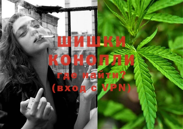 ешки Лиски